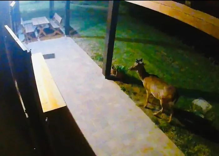 Bed & Breakfast Casa Lazzarini 3*